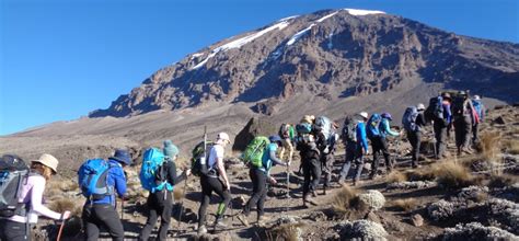 hike for charity 2020|Kilimanjaro Day Hiking For Charity 2020 .